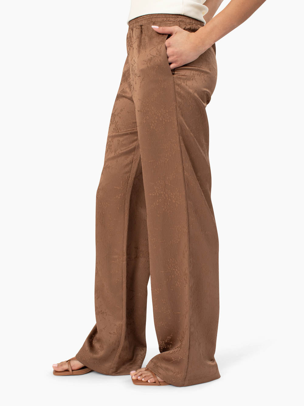 Tall women's brown wide leg travel pant with front pockets